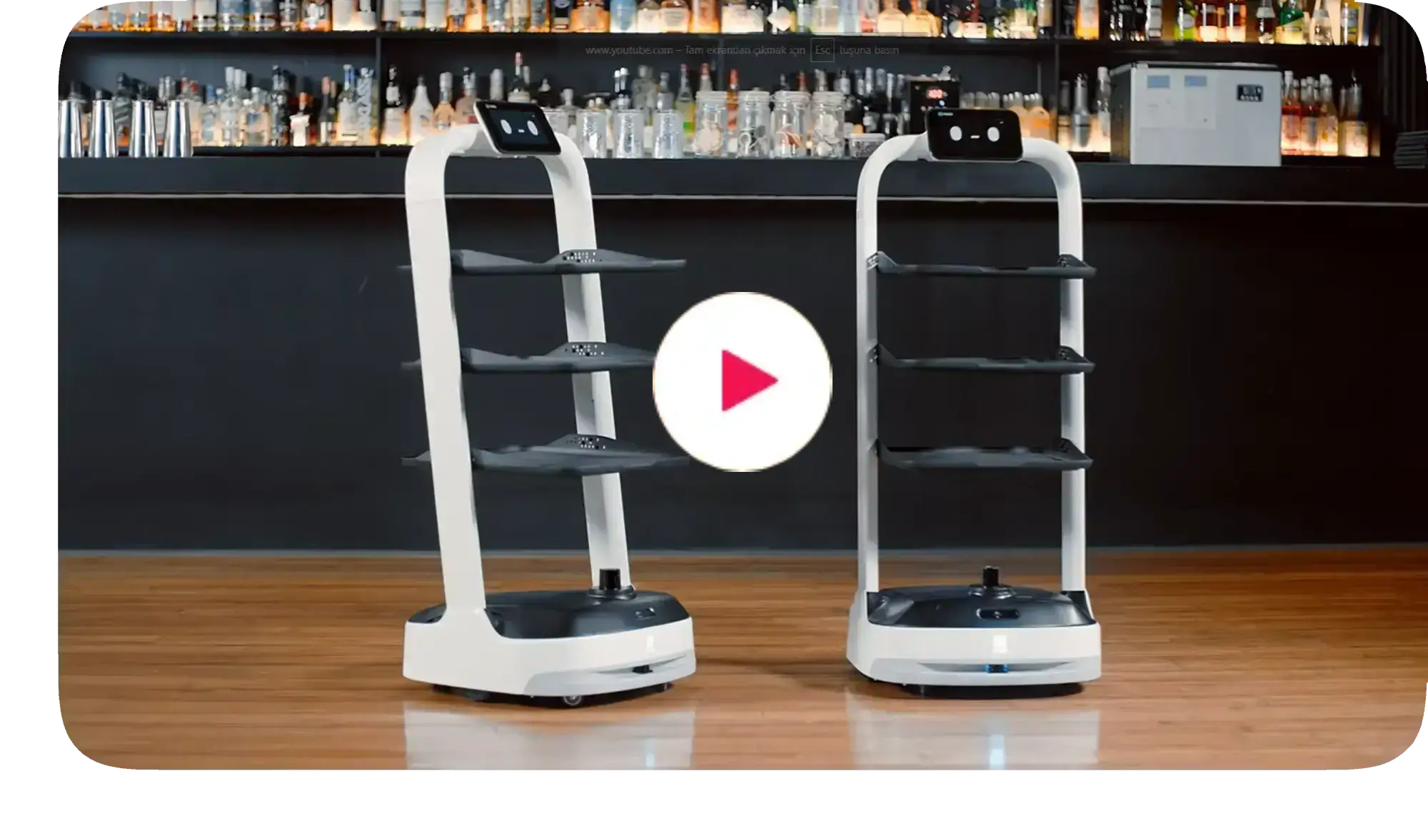 Robot Garson - Youtube Videosu - PuduBot