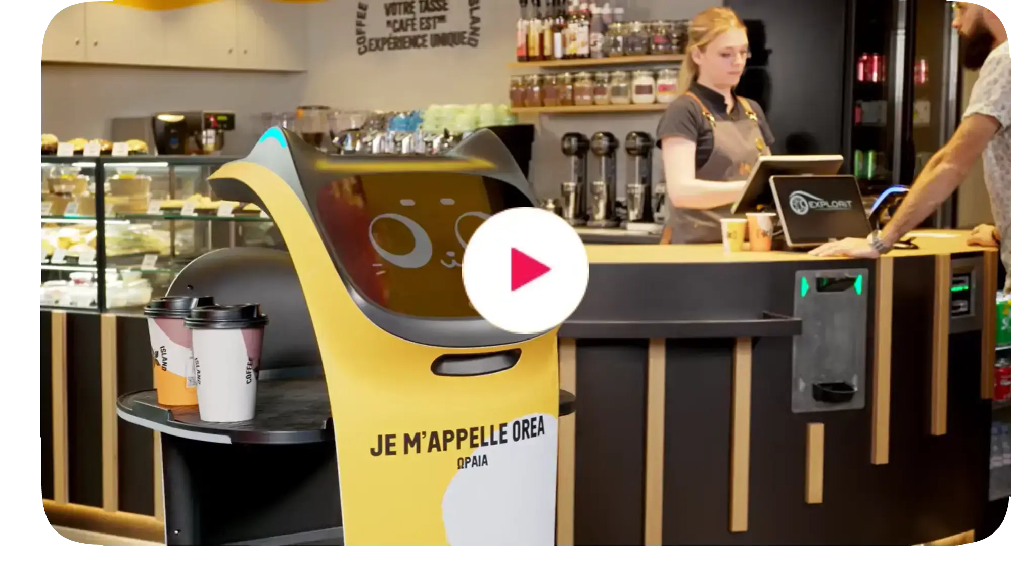 Restoran Robotu - Youtube Videosu - BellaBot